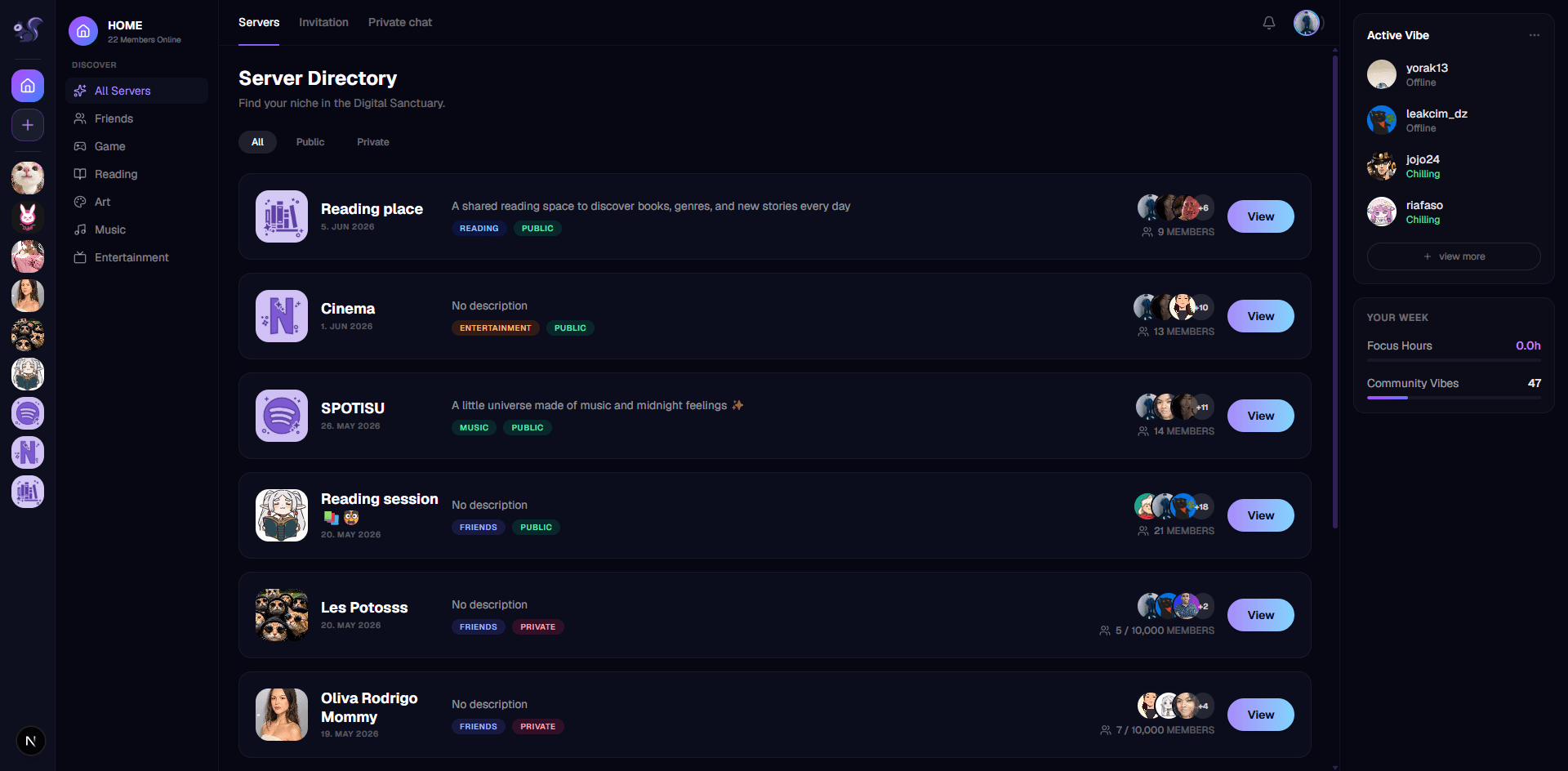 Screenshot: RISU home page — sidebars + server directory + Active Vibe