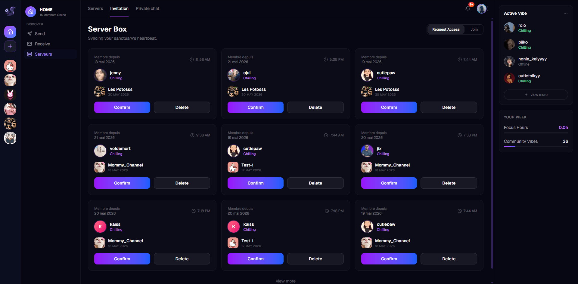 Screenshot: Server directory with category filters